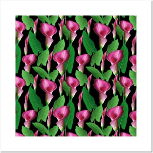 Watercolor Calla Lily Pattern Posters and Art